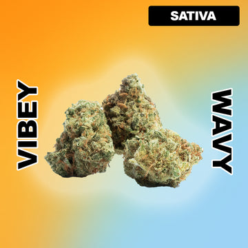π Pink Lemonade - Sativa 29.78%