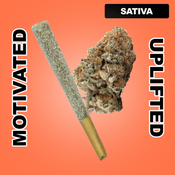 Snow Cone 1.5g THCA Joint - Strawberry Cough (SATIVA)