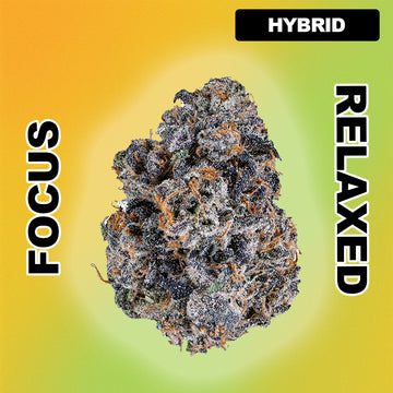 🌆 Bacio - Hybrid 30.07%