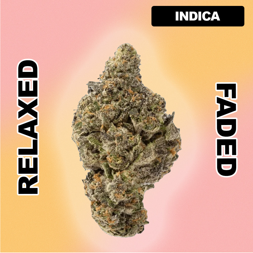 🕋 Black Biscotti - Indica Hybrid 30.63%