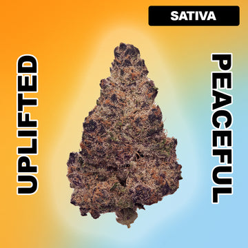 🍒 Blockberry - Sativa Hybrid 28.11%