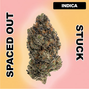 👾 Galactic Gas - Indica Hybrid 28.09%