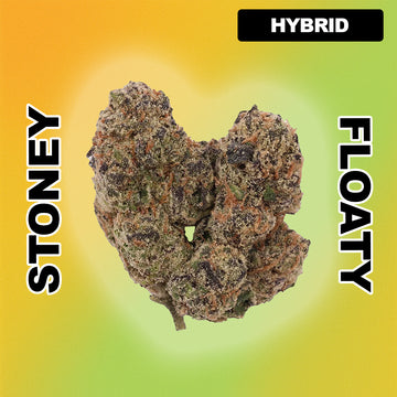 🍇 Grape Gas - Hybrid 33.37%