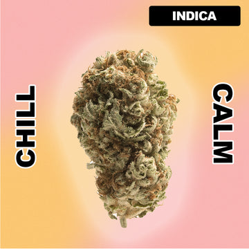 🍧 Ice Pop - Indica 32.02%