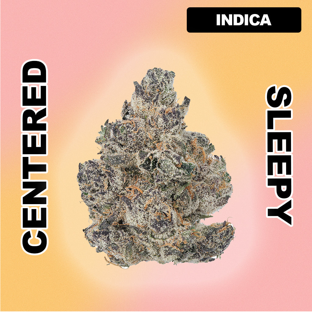 🍦 Ice Cream Cake - Indica 31.71%