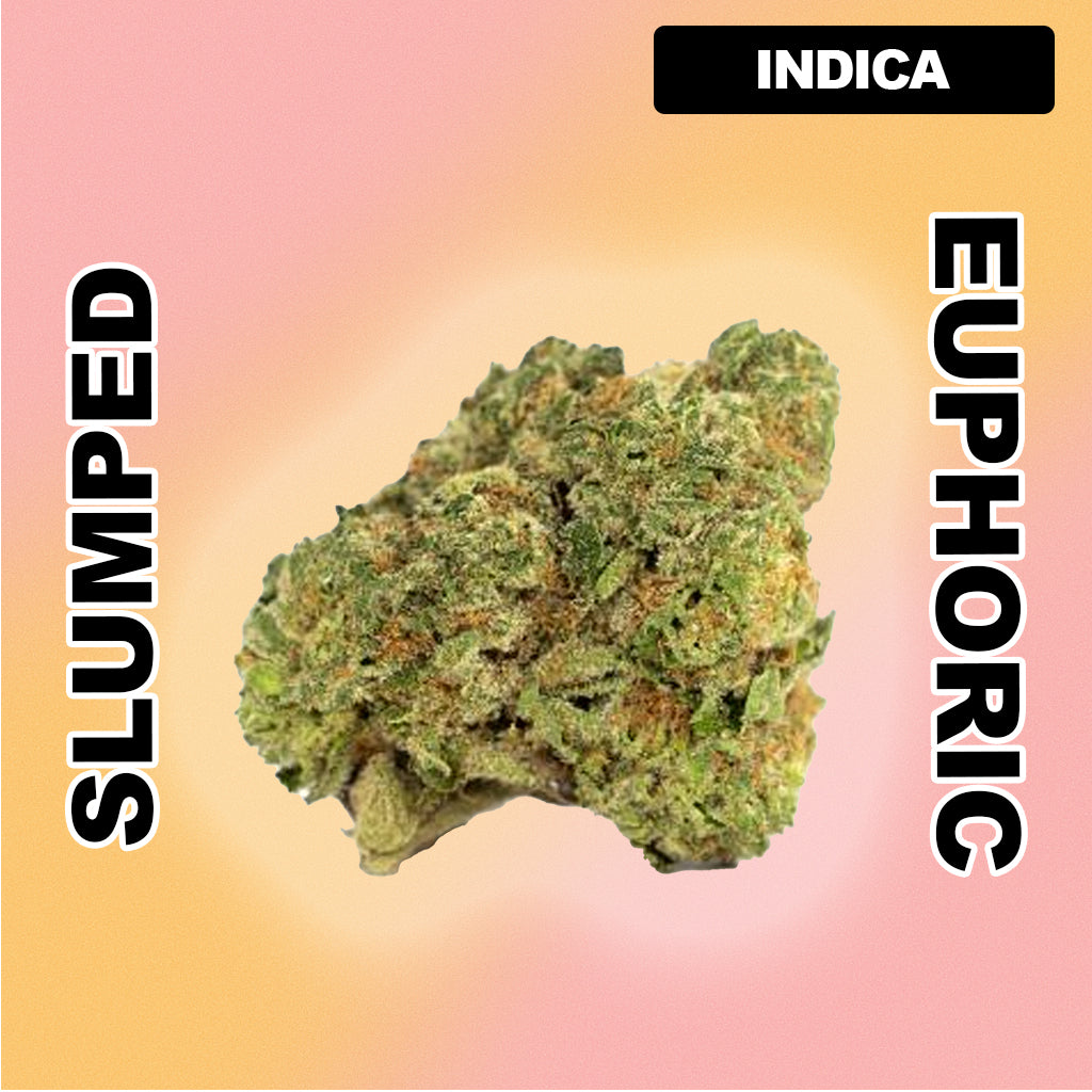 🍧 Italian Ice - Indica Hybrid 29.51%
