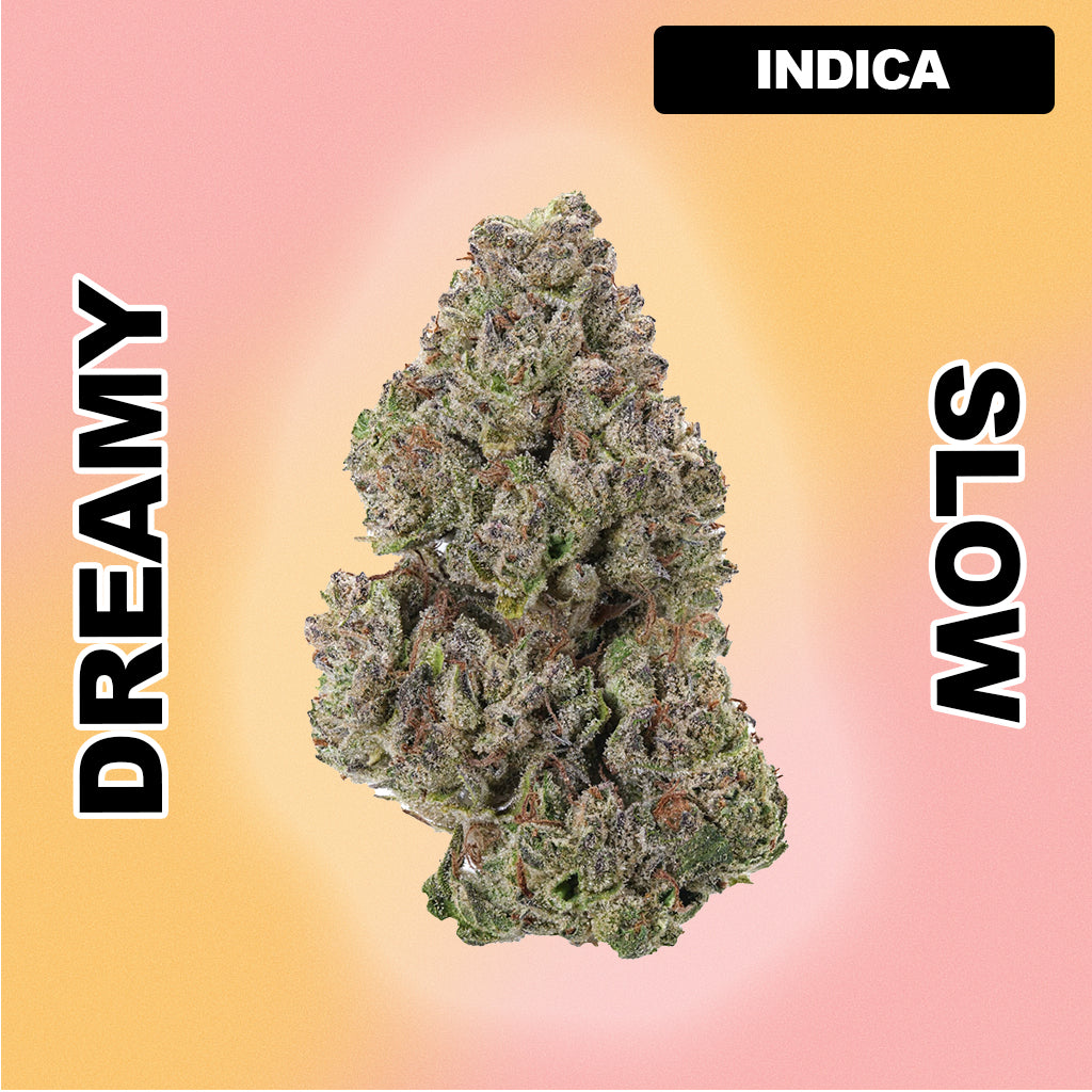 🍇 Modified Grape - Indica 29.79%