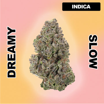 🍇 Modified Grape - Indica 29.79%