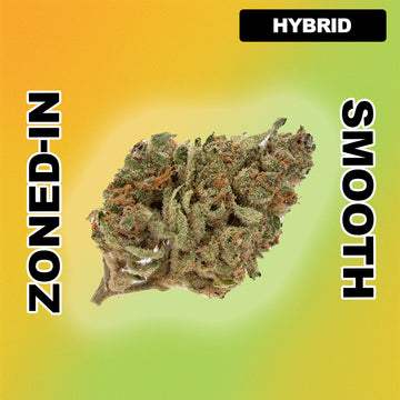 🍊 Orange - Hybrid 31.29%