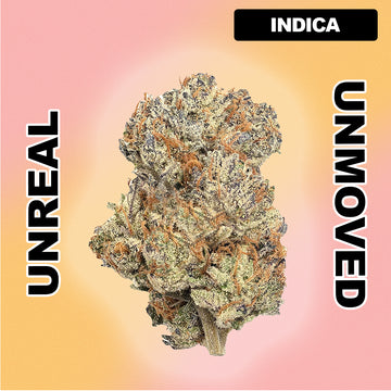 🖊️ Permanent Market - Indica Hybrid 37.55%