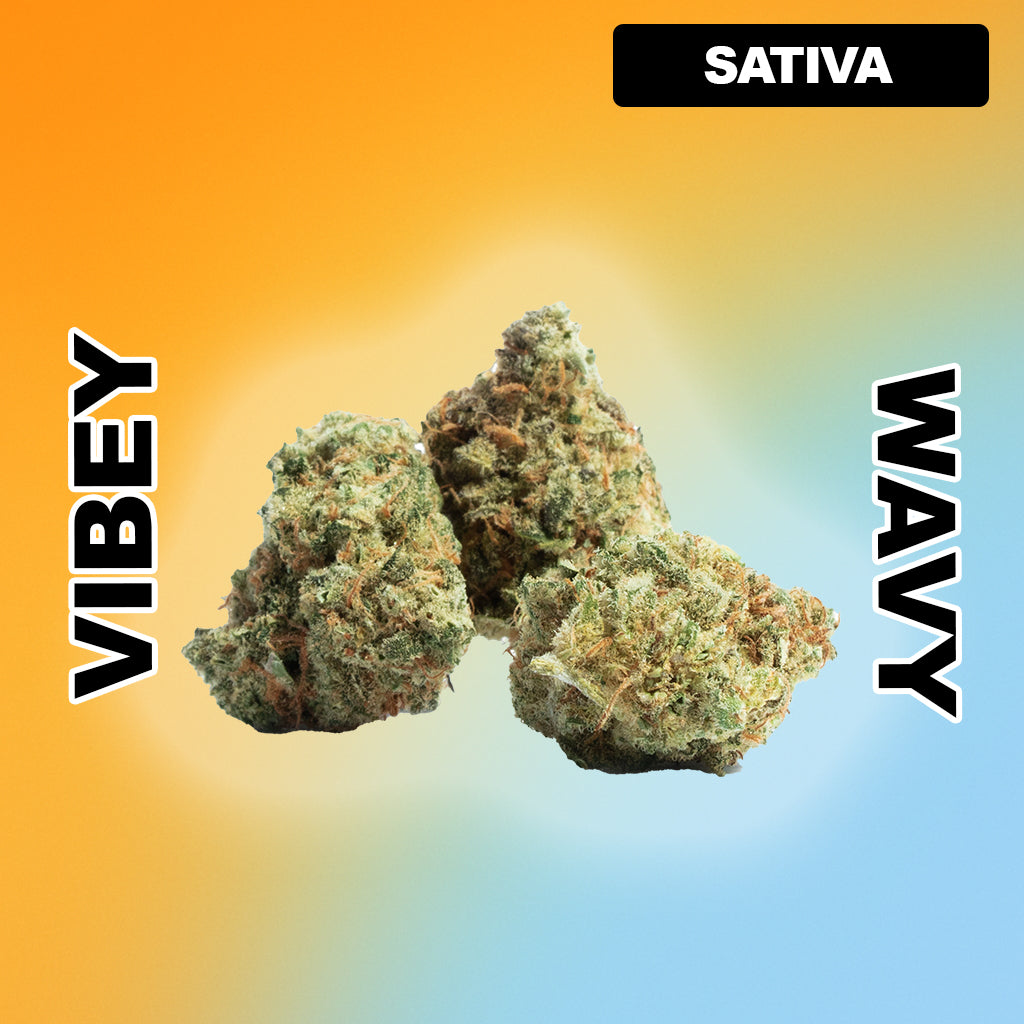 🍋 Pink Lemonade - Sativa 29.78%