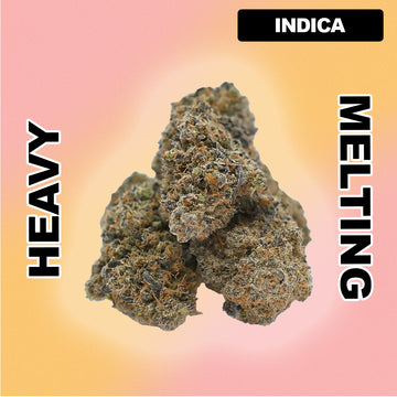 😈 Purple Candy Kush - Indica 30.19%
