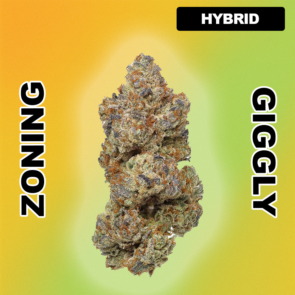 🍭 Sugar Bomb - Hybrid 31.55%
