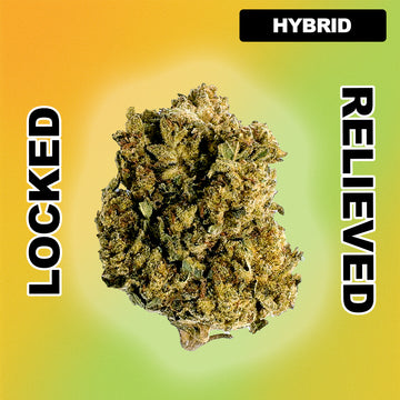 🌌 Super Glue - Hybrid 29.74%