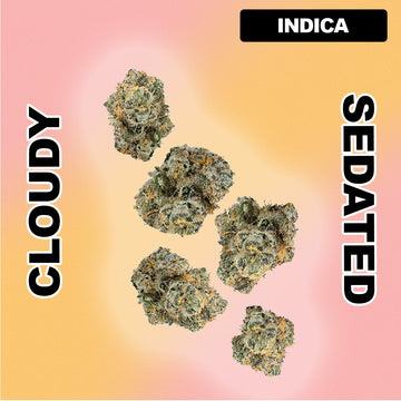 💟 Violet Fog - Indica 33.47%