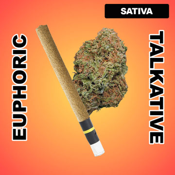Blunt Force 1g THCA Blunt - Hawaiian Haze (SATIVA)