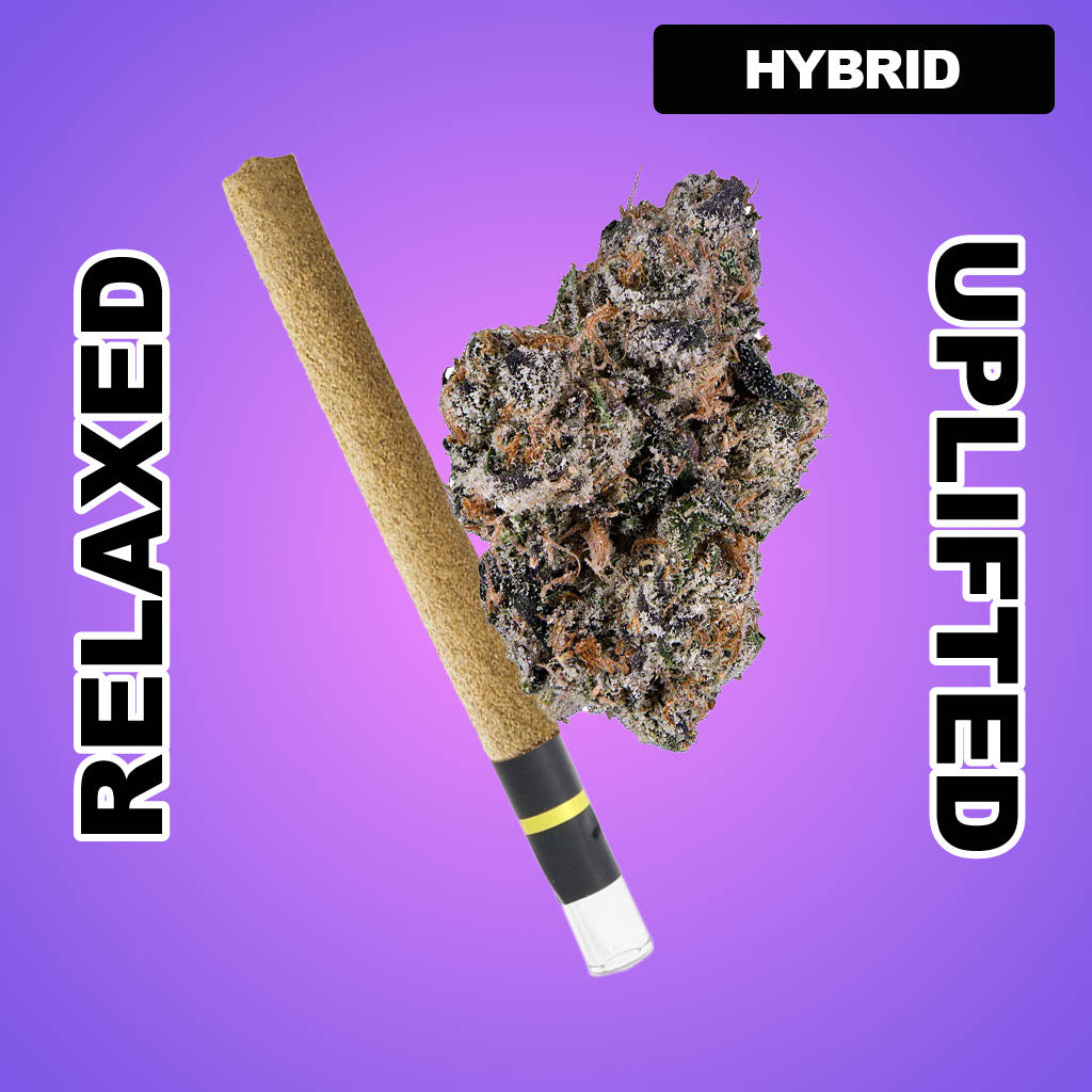 Blunt Force 1g THCA Blunt - Rain Shadow Runtz (HYBRID)