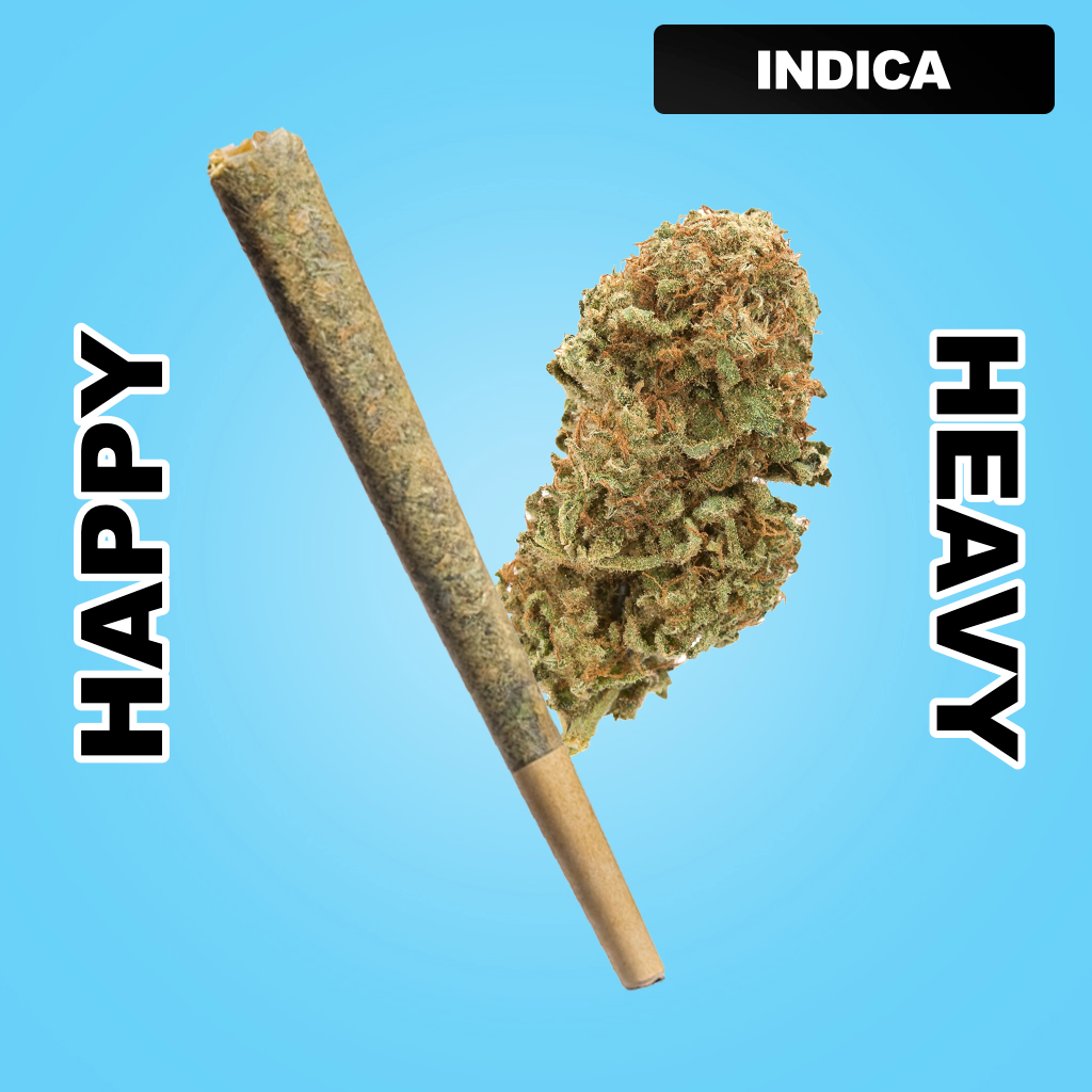 Daily Burn 1.5g THCA Joint - Blueberry Kush (INDICA)