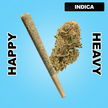 Daily Burn 1.5g THCA Joint - Blueberry Kush (INDICA)