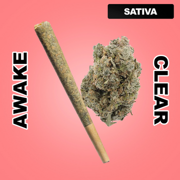 Daily Burn 1.5g THCA Joint - Strawberry Cough (SATIVA)