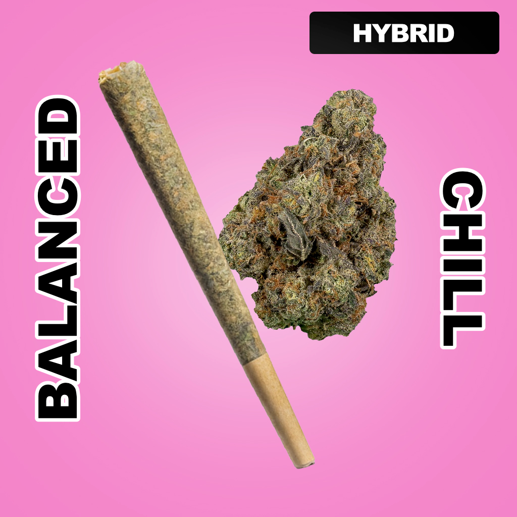 Daily Burn 1.5g THCA Joint - Wedding Cake (HYBRID)