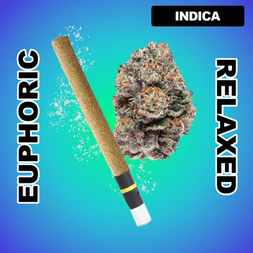 Power Packed 1g THCA Blunt - Blue TK41 (INDICA)