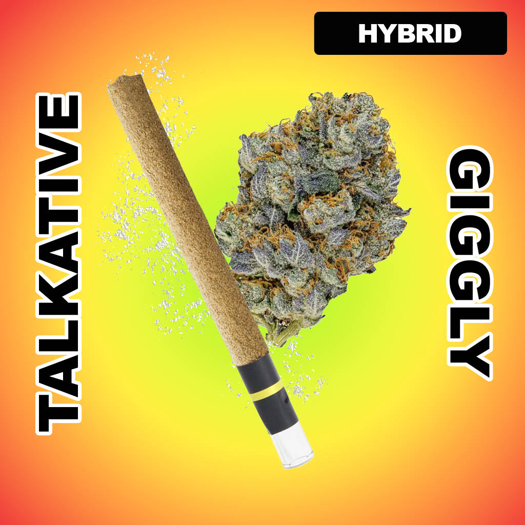 Power Packed 1g THCA Blunt - Gelato Zittlez (HYBRID)