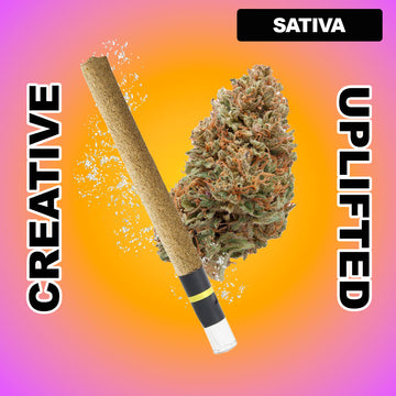 Power Packed 1g THCA Blunt - Hawaiian Haze (SATIVA)