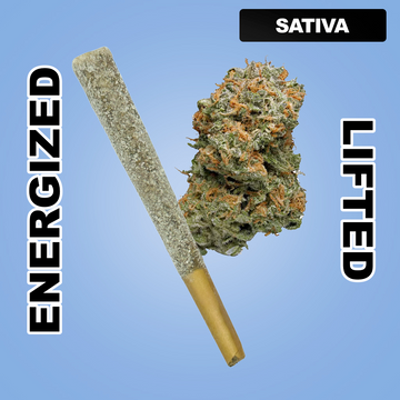 Snow Cone 1.5g THCA Joint - Blue Dream (SATIVA)