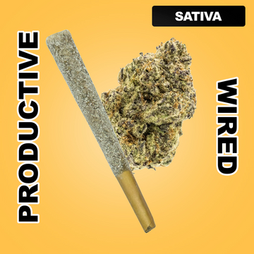 Snow Cone 1.5g THCA Joint - Pineapple Express (SATIVA)