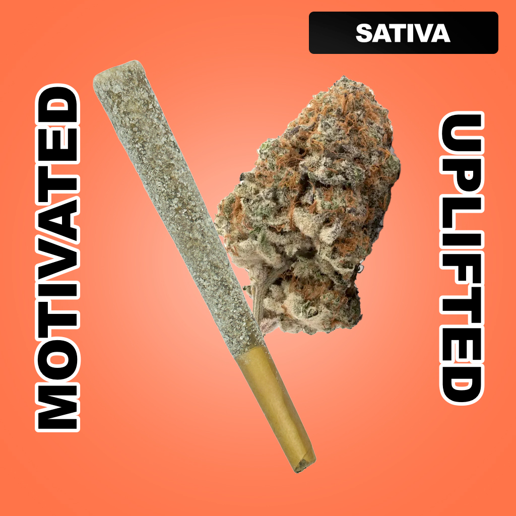Snow Cone 1.5g THCA Joint - Strawberry Cough (SATIVA)