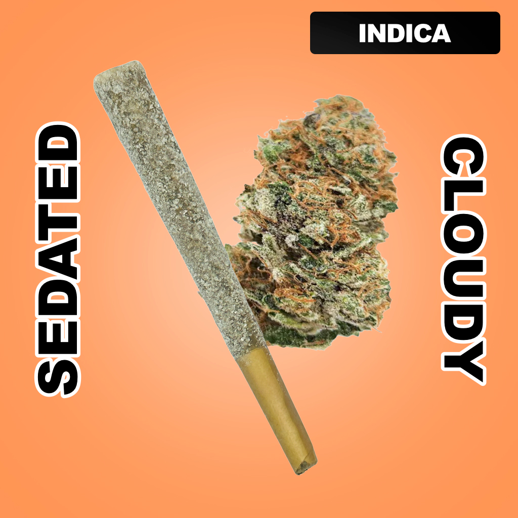 Snow Cone 1.5g THCA Joint - Sunrise Papaya (INDICA)
