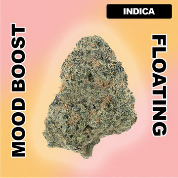 🤍 White Guava - Indica 32.03%